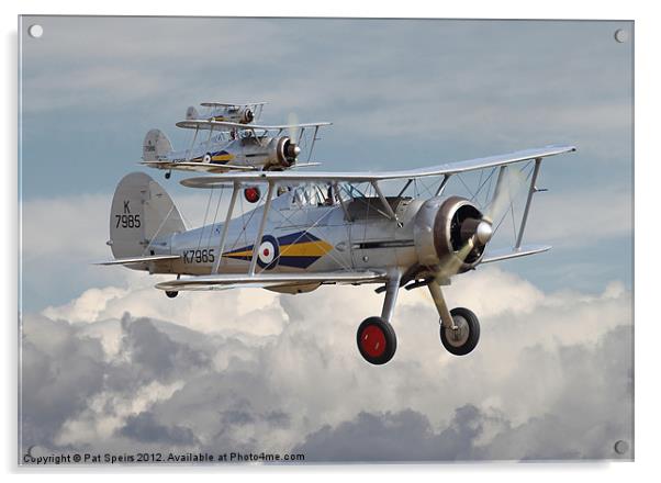 Gloster Gladiator Acrylic by Pat Speirs