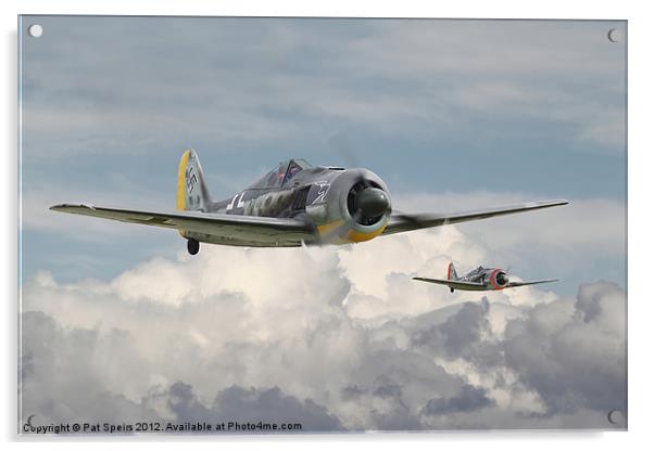Fw 190 - Butcher Bird Acrylic by Pat Speirs