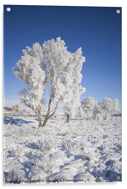 Winter Magic (3) - Rannoch Moor Acrylic by Pat Speirs