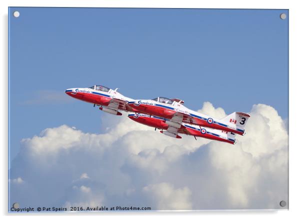 RCAF Aerobatic Team - Snowbirds Acrylic by Pat Speirs