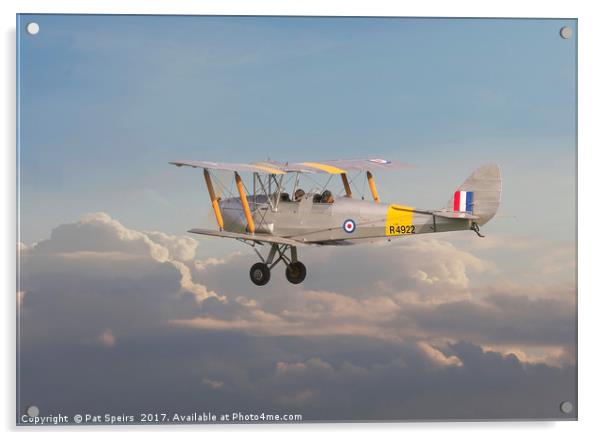 DH Tiger Moth - 'First Steps' Acrylic by Pat Speirs