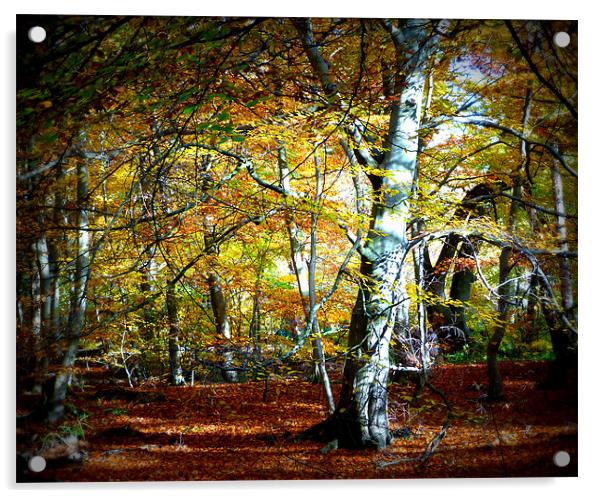 Epping Forest Acrylic by Lynn hanlon