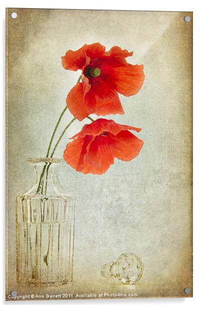 Two Poppies in a Glass Vase Acrylic by Ann Garrett