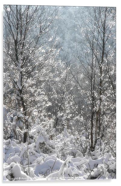 Winter Sparkles Acrylic by Ann Garrett