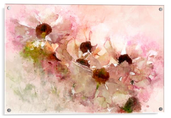 Ranunculus Watercolor Acrylic by Ann Garrett