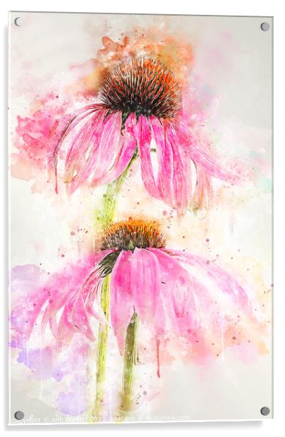 Echinacea Splash Acrylic by Ann Garrett