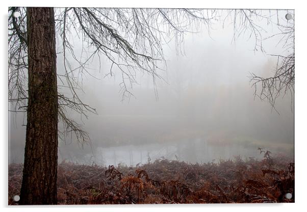 Misty Lake Acrylic by Ann Garrett