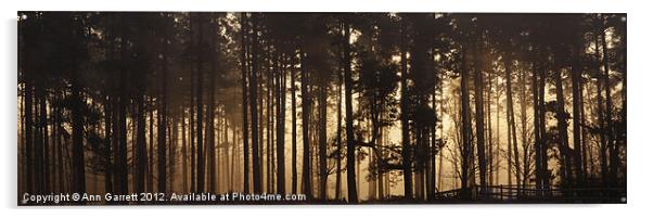 Woodland Sunrise Panorama Acrylic by Ann Garrett