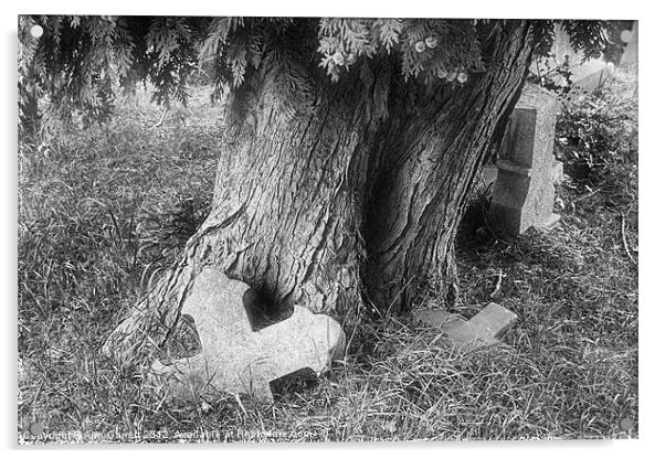 Tree in a Graveyard - Mono Acrylic by Ann Garrett