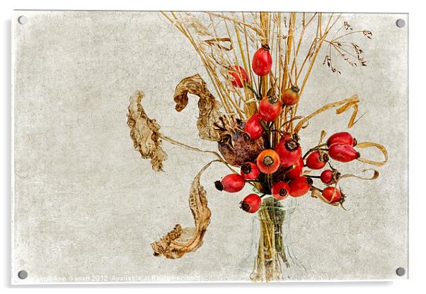 Rosehips and Grasses Acrylic by Ann Garrett