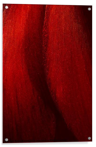 Red Amaryllis Abstract 1 Acrylic by Ann Garrett
