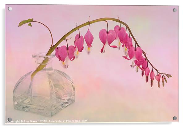 Dicentra in a Glass Vase Acrylic by Ann Garrett