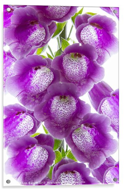 Purple Foxglove Acrylic by Ann Garrett