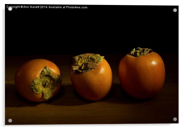 Persimmon Trio - 2 Acrylic by Ann Garrett