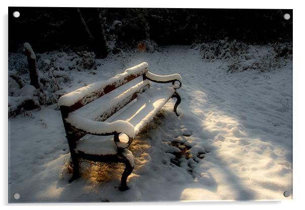 Bench in the Snow Acrylic by Ann Garrett