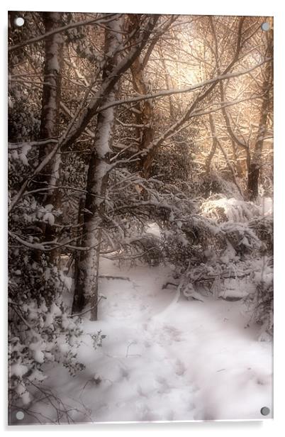 Footsteps in the Snow Acrylic by Ann Garrett