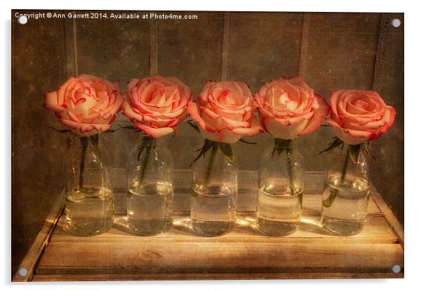 Roses in a Row Acrylic by Ann Garrett