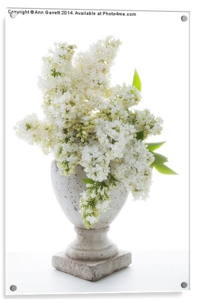 White Lilac in a Stone Vase Acrylic by Ann Garrett