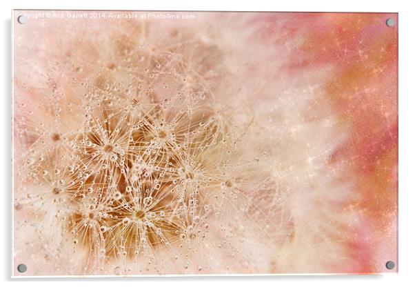 Pink Dandelion Sparkle Acrylic by Ann Garrett