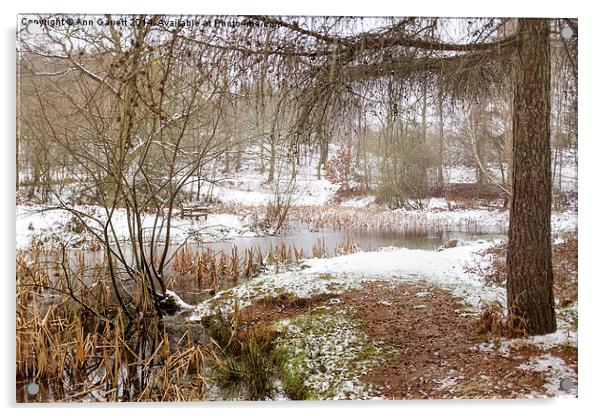 Small Lake in the Snow Acrylic by Ann Garrett