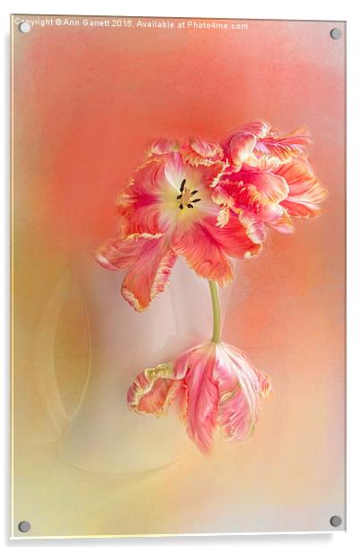 Soft Parrot Tulips Acrylic by Ann Garrett