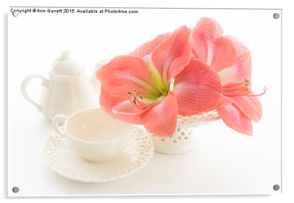 Amaryllis Teatime Acrylic by Ann Garrett