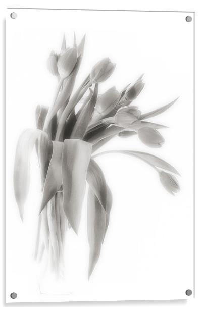 A Vase of Tulips    Black & White Acrylic by Ann Garrett