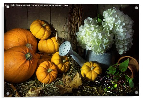 Pumpkins and White Hydrangea Acrylic by Ann Garrett