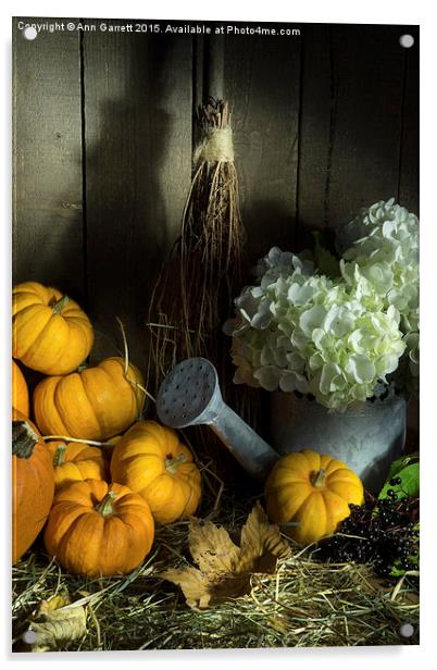 Pumpkins and White Hydrangea 2 Acrylic by Ann Garrett