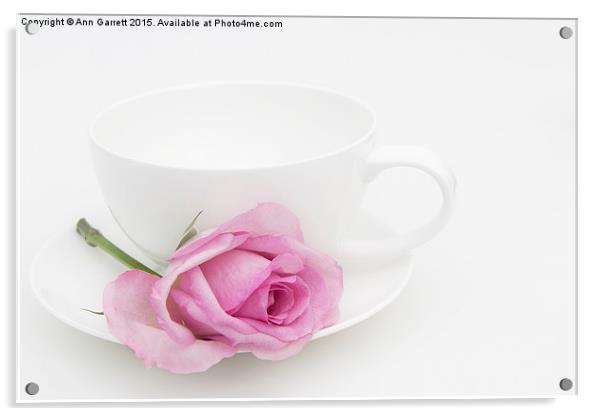Pink Rose with a White Teacup and Saucer Acrylic by Ann Garrett