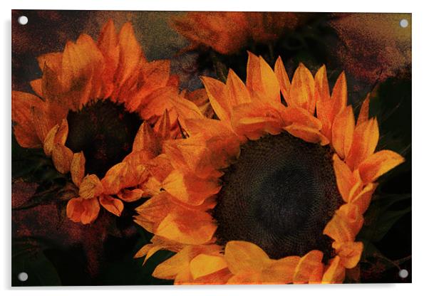 Sunflowers Acrylic by Ann Garrett