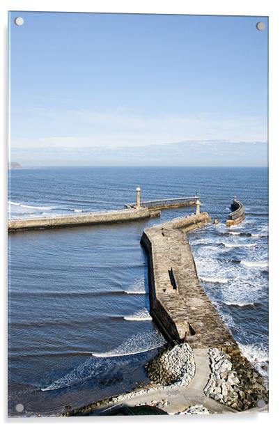 Whitby Harbour Acrylic by Ann Garrett