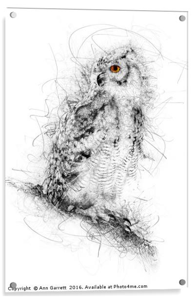 Owl Sketch Acrylic by Ann Garrett
