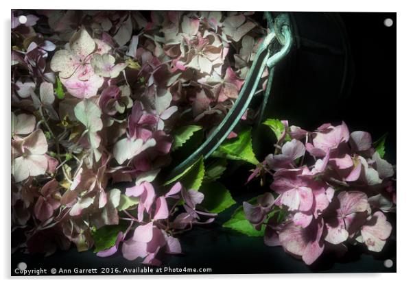Bucket of Pink Hydrangeas Acrylic by Ann Garrett