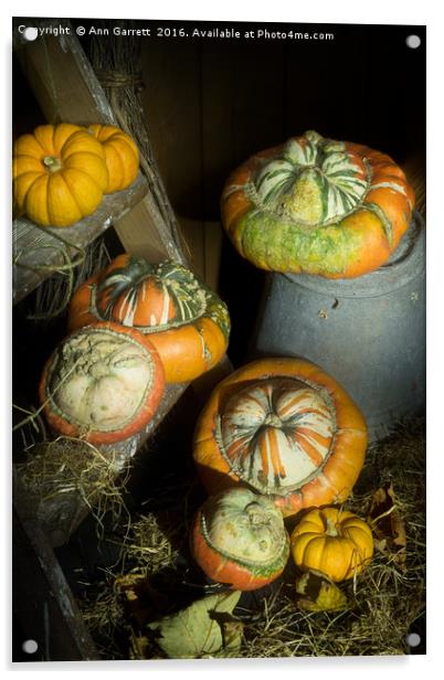 A Ladder of Pumpkins Acrylic by Ann Garrett