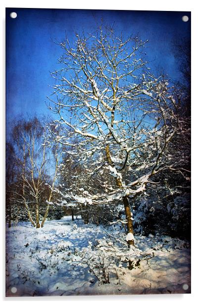 Snow Tree Acrylic by Ann Garrett