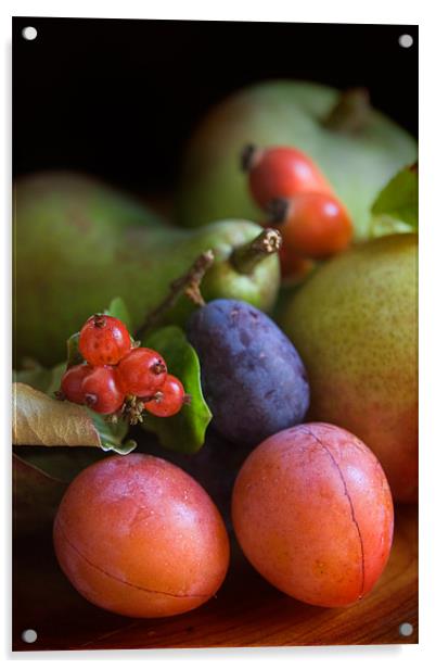 Summer Fruits Acrylic by Ann Garrett