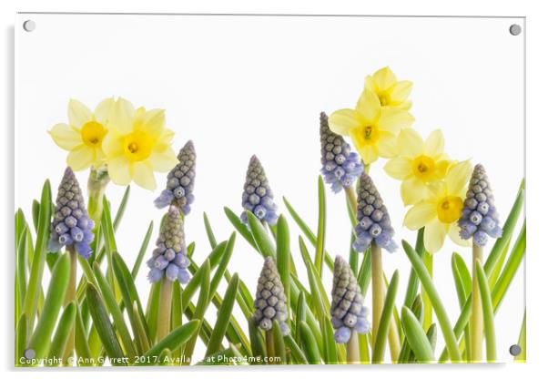 Pretty Spring Flowers All in a Row Acrylic by Ann Garrett