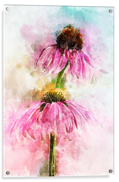 Echinacea Water Splash Acrylic by Ann Garrett