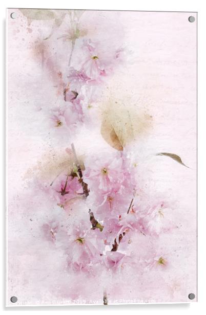 Flowering Cherry Pastels Acrylic by Ann Garrett