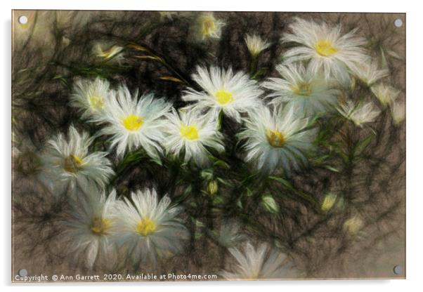 Daisies in the Sun Acrylic by Ann Garrett