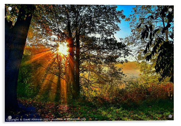 Autumn sunbeams  Acrylic by David Atkinson