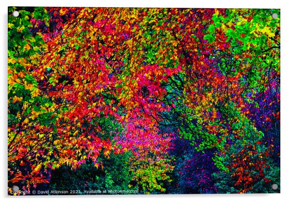 Autumn colours Acrylic by David Atkinson