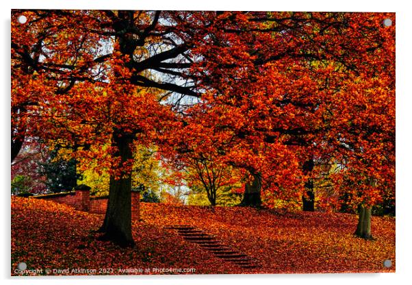 Step into Autumn  Acrylic by David Atkinson