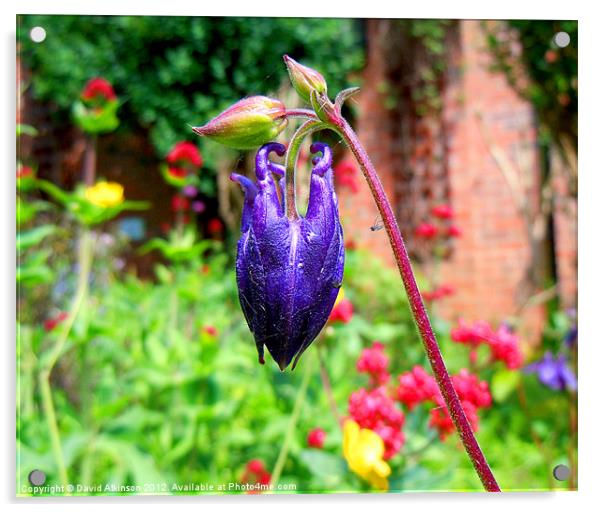 PURPLE FLOWER Acrylic by David Atkinson