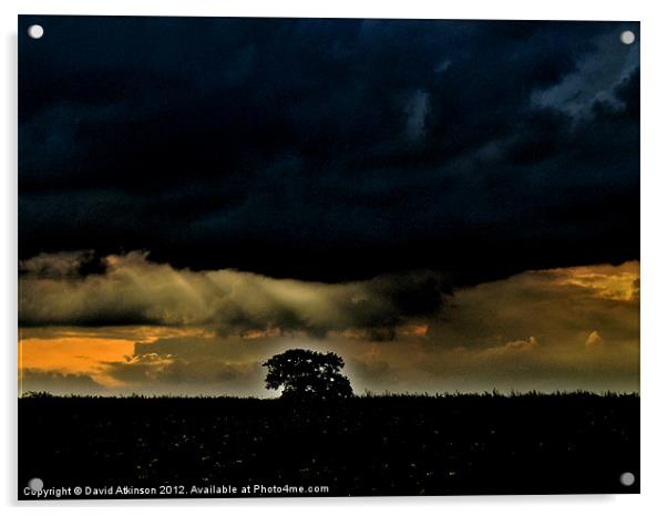 GLOWING TREE UNDER STORMY SKY Acrylic by David Atkinson