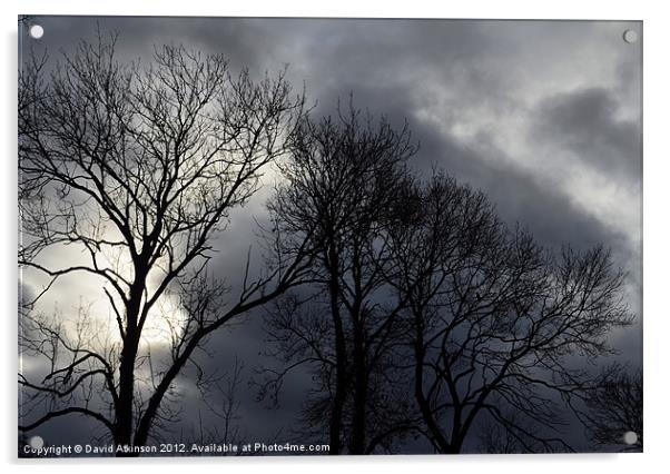 WINTER TREES Acrylic by David Atkinson