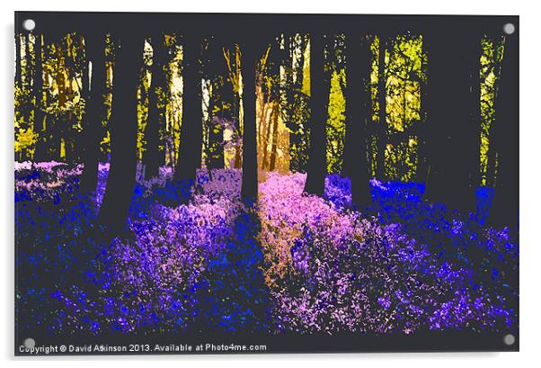 BLUEBELLS Acrylic by David Atkinson