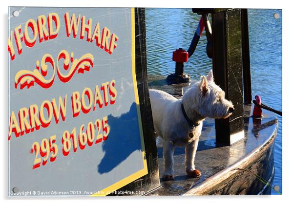 CAPTAIN WESTIE Acrylic by David Atkinson