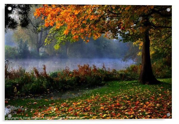 Autumn Mist Acrylic by David Atkinson